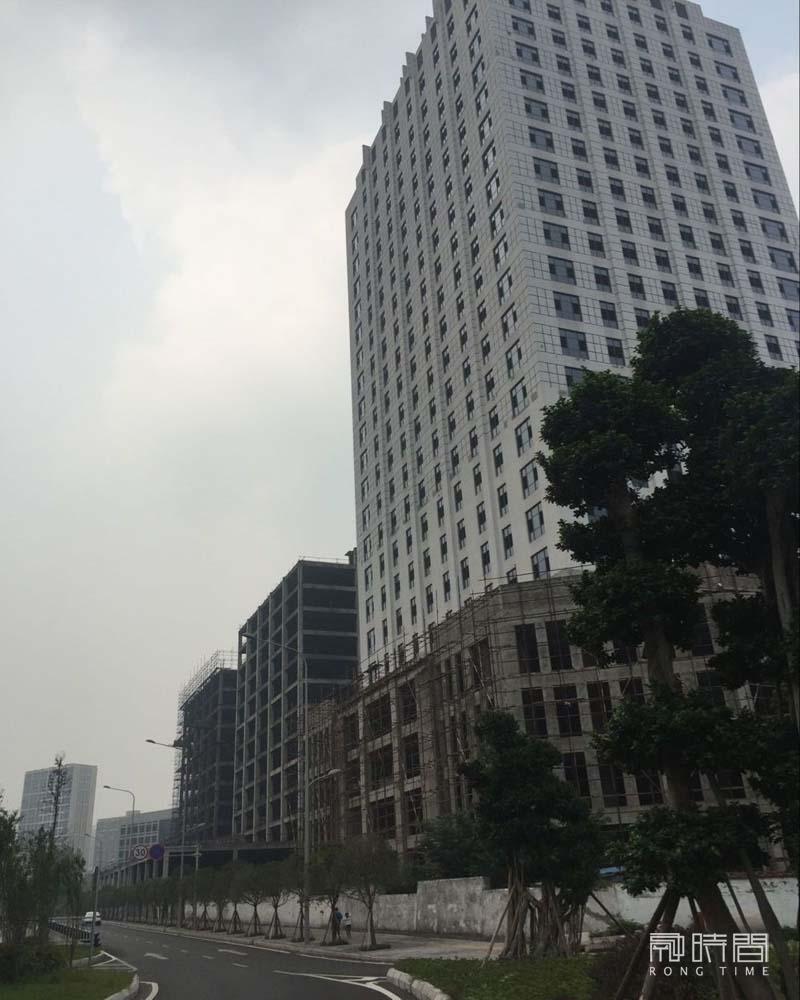 重庆市大渡口组团E标准分区E47-5/02地块的土地使用权及地上建筑物司法拍卖公告